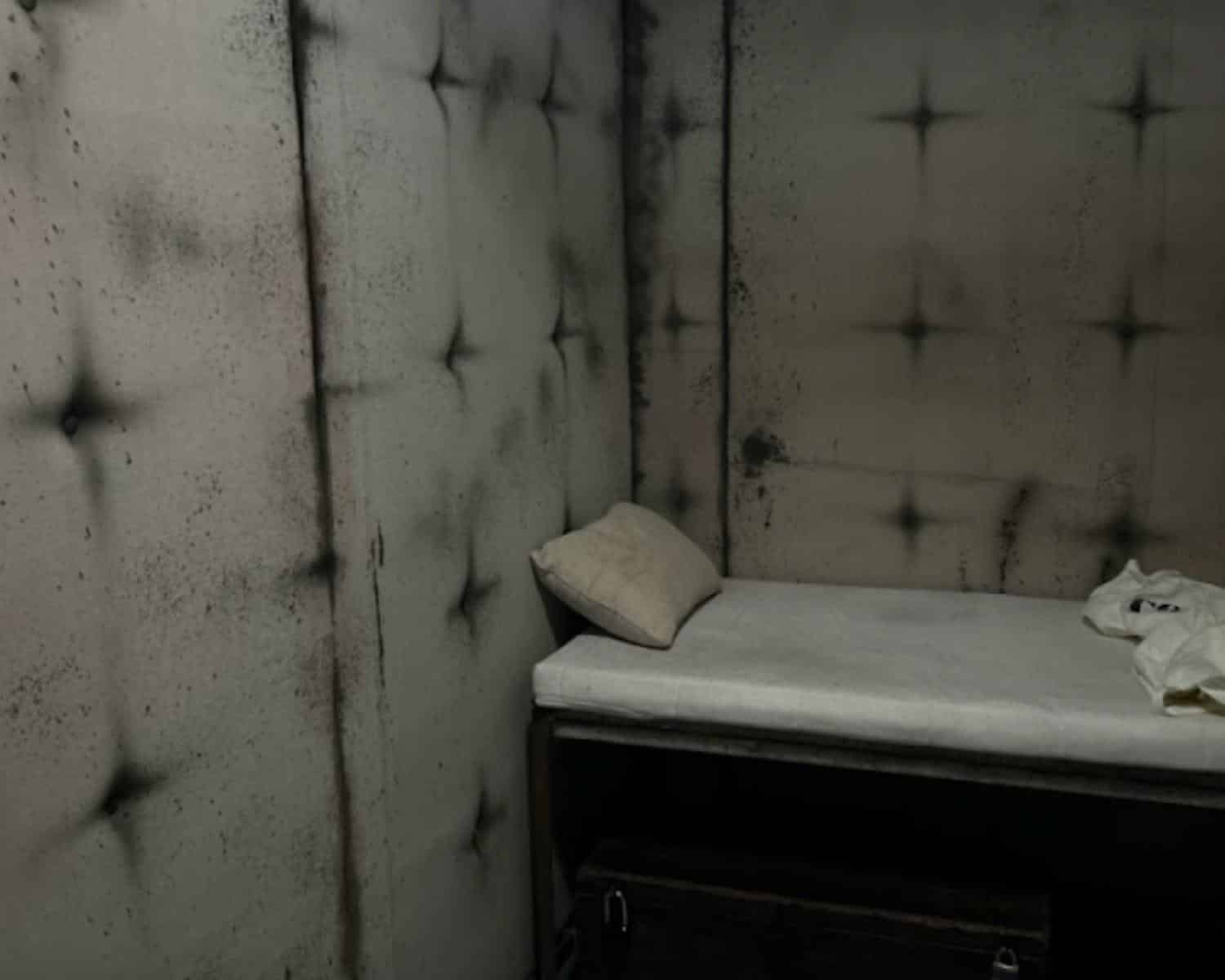 Frankfort Valley Asylum